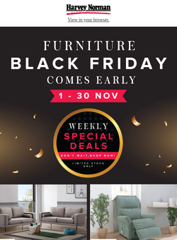 Black Friday Comes Early - 2 seaters sofa from $499 only!